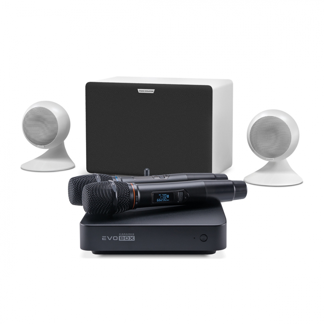 караоке-комплект EVOBOX Classic + EvoSound Sphere 2.1 в Переславле-Залесском
