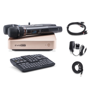 EVOBOX Classic караоке-система для дома в Переславле-Залесском